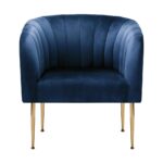 Oikiture Armchair Lounge Chair Accent Chairs Velvet Armchairs Sofa Couches Blue