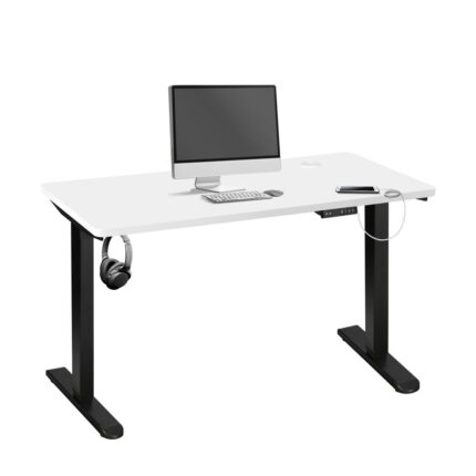 Oikiture Standing Desk Adjustable Motorised Black&White