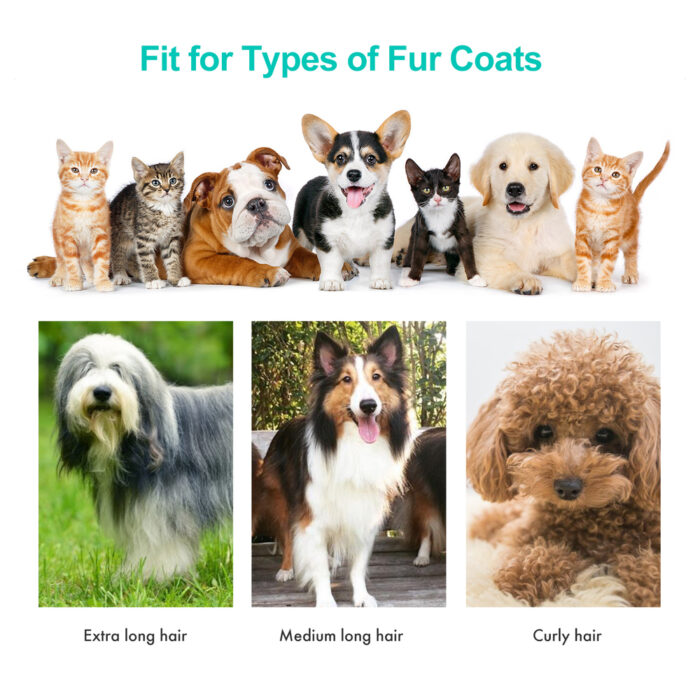 Neakasa Pet Grooming Kit and Vacuum - Image 3