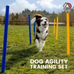 Floofi Dog Agility Training Equipment Set - Image 2