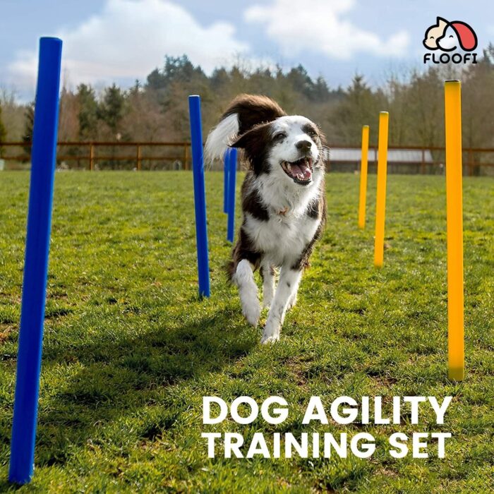 Floofi Dog Agility Training Equipment Set - Image 2