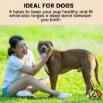 Floofi Dog Agility Training Equipment Set - Image 3