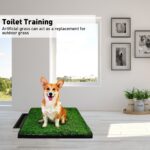 Floofi Indoor Dog Toilet Tray for Potty Training - Image 3