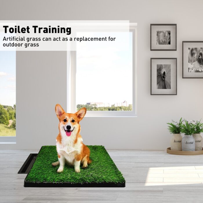 Floofi Indoor Dog Toilet Tray for Potty Training - Image 3
