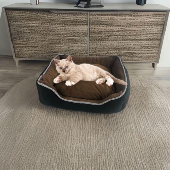 Floofi Pet Sofa Cushion XXXL (Coffee) - Image 2