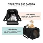 Floofi Portable Pet Carrier-L Size (Black) - Image 2