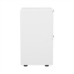 Artiss Filing Cabinet Files Storage Office Shelves File Organiser White 2 Drawer - Image 4